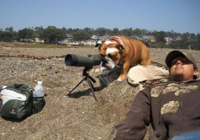 Những bức ảnh đời thường siêu hài hước hình ảnh 9 nhung buc anh doi thuong sieu hai huoc hinh anh 9