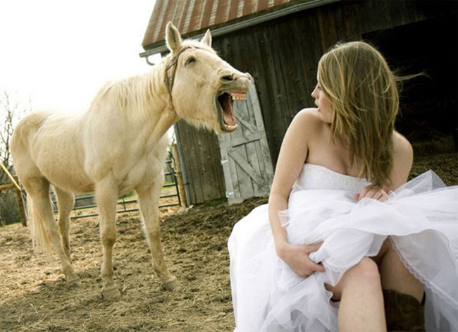 Những bức ảnh đời thường siêu hài hước hình ảnh 7 nhung buc anh doi thuong sieu hai huoc hinh anh 7