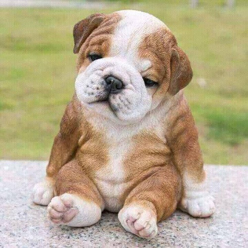 Người buồn cảnh có vui đâu bao giờ. Người buồn cảnh có vui đâu bao giờ.