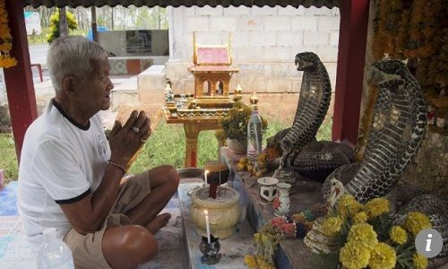 Ông Sommard Marurat dựng đền thờ với hai bức tượng rắn hổ mang chúa bằng gỗ nổi bật. Ông Sommard Marurat dựng đền thờ với hai bức tượng rắn hổ mang chúa bằng gỗ nổi bật. Ảnh: SCMP.