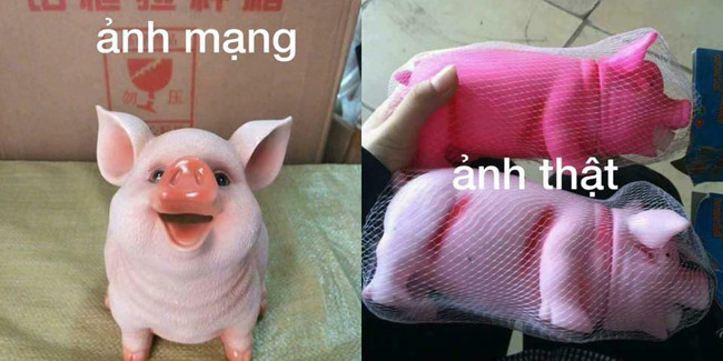 Những bức ảnh đời thường siêu hài hước hình ảnh 3 nhung buc anh doi thuong sieu hai huoc hinh anh 3