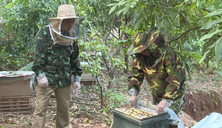 Người dân được hướng dẫn về kỹ thuật nuôi và chăm sóc cây trồng và vật nuôi đem lại hiệu quả kinh tế cao.