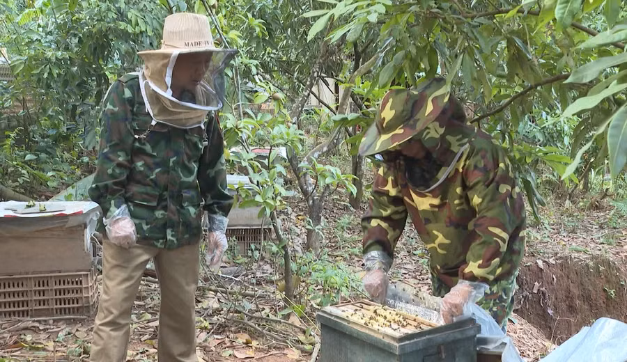 Người dân được hướng dẫn về kỹ thuật nuôi và chăm sóc cây trồng và vật nuôi đem lại hiệu quả kinh tế cao.