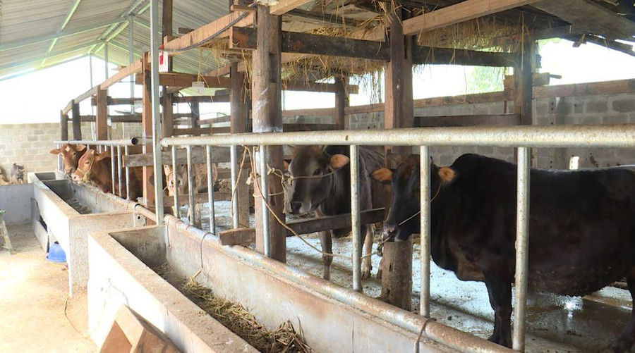 Thông qua nhiều chính sách hỗ trợ, đời sống vật chất tinh thần của đồng bào DTTS ngày càng được cải thiện và nâng cao. Thông qua nhiều chính sách hỗ trợ, đời sống vật chất tinh thần của đồng bào DTTS ngày càng được cải thiện và nâng cao.