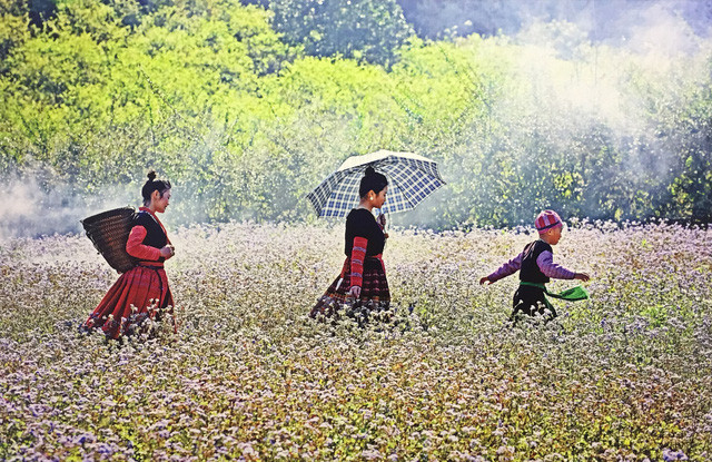 Tác phẩm “Du xuân” của nhiếp ảnh gia Bùi Hỏa Tiễn - một trong những tác phẩm nghệ thuật được giới thiệu tại triển lãm