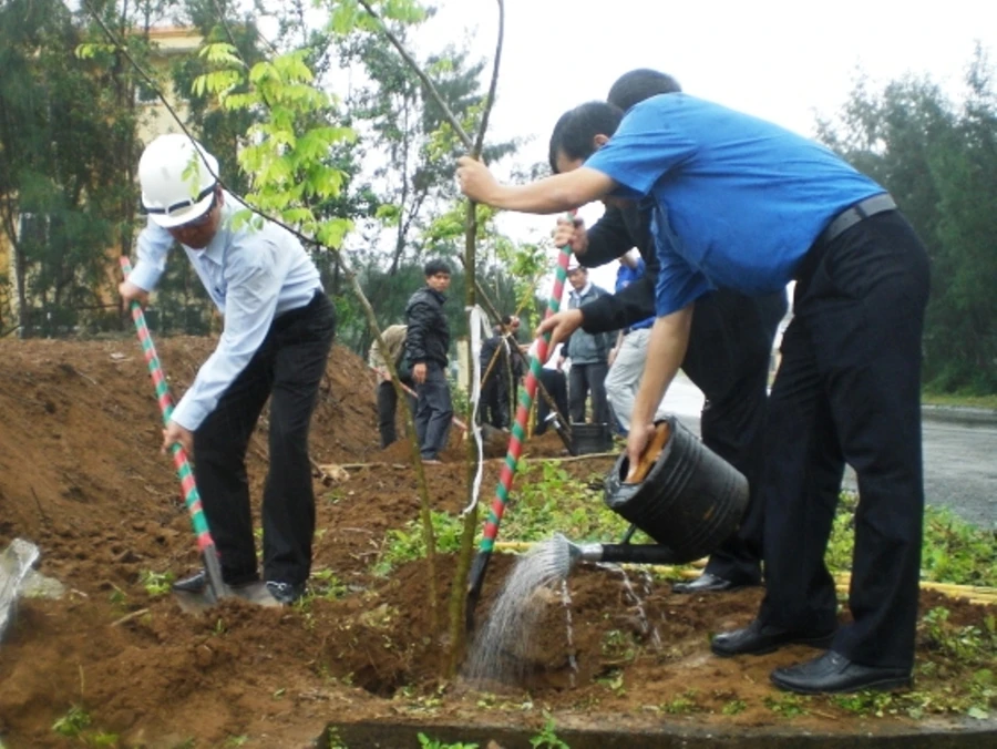 Ảnh minh họa