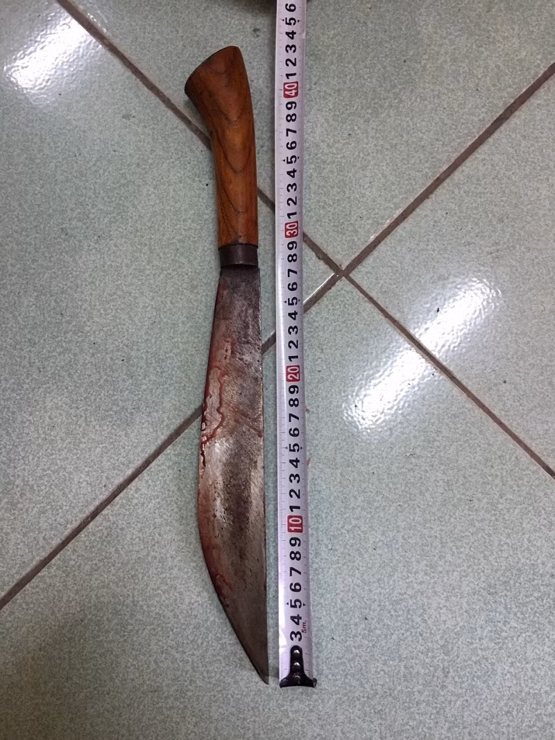 em vo giet anh re: con dao nhuom mau va mau thuan dinh diem hinh anh 2