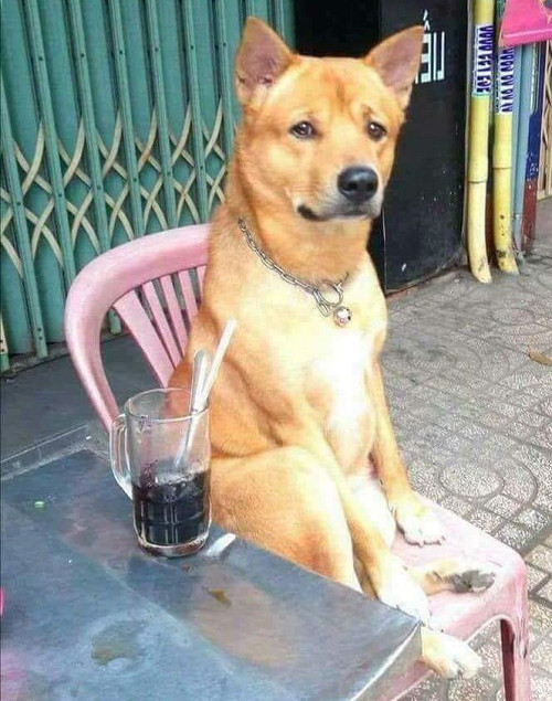 Tết rồi mà chưa có thưởng.