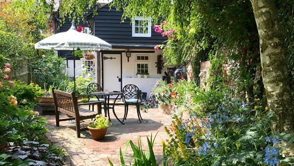 Ghen với vợ cũ của chồng, cụ bà ly hôn ở tuổi 75 ảnh 1 Ghen với vợ cũ của chồng, cụ bà ly hôn ở tuổi 75