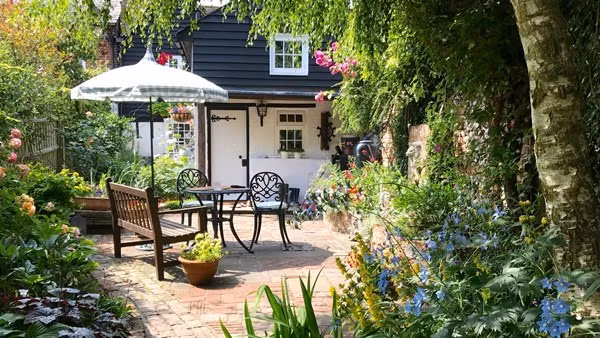 Ghen với vợ cũ của chồng, cụ bà ly hôn ở tuổi 75