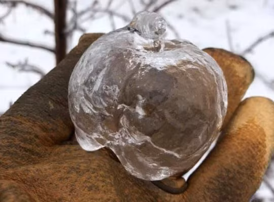 Nhiệt độ tại Mỹ tiếp tục hạ thấp, những 