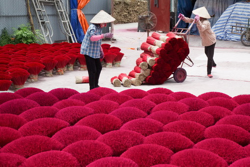 Nắng lên, tăm hương sau khi nhuộm được đem phơi.