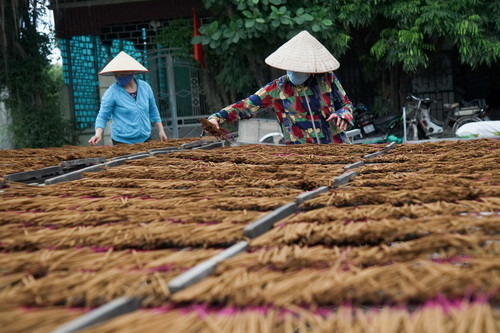 Phơi hương trước khi đóng gói đến tay người tiêu dùng.