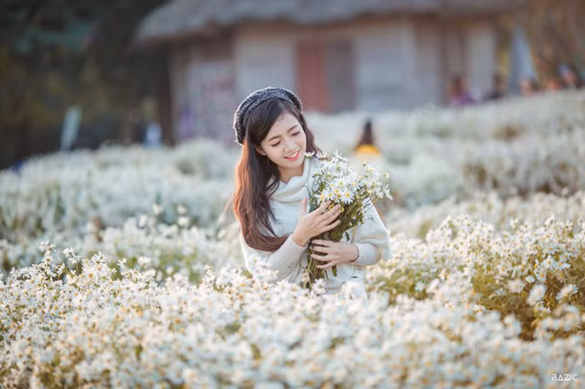  Sắc xuân mơn mởn của cô giáo trẻ nổi bật giữa vườn cúc họa mi tuyệt đẹp. 