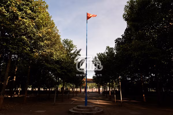 Khuôn viên trường rộng rãi, tràn ngập cây xanh