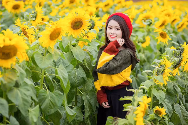  Chia sẻ về bộ ảnh, cô gái sinh năm 1999 cho biết: “Cánh đồng hoa hướng dương đã trở thành điểm du lịch của quê mình, cũng như các bạn trẻ mình muốn ghi lại những khoảnh khắc gần gũi, đáng nhớ trên chính mảnh đất này”. 