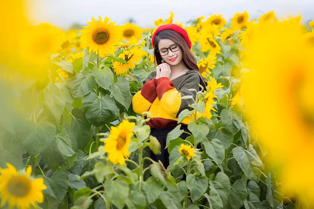  Hằng bộc bạch: “Mình mong rằng sẽ có nhiều người đến với cánh đồng hoa hướng dương, thả mình thư thái giữa thiên nhiên quả thực rất tuyệt vời”. 