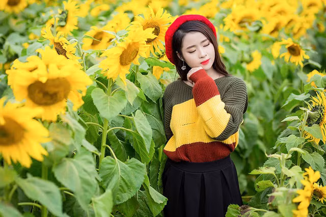  Ngoài thời gian dành cho việc học ở trường, Nguyệt Hằng không ngần ngại tham gia những chuyến đi cùng bạn bè, cánh đồng hoa hướng dương là một trong những điểm dừng chân của Hằng trong hành trình khám phá cuộc sống. 