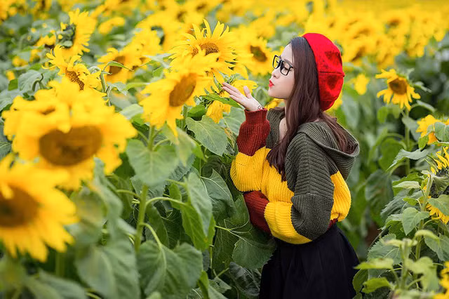  Đồng hoa bạt ngàn ở Nghệ An đã nở rộ với sắc hoa tươi thắm, đây cũng là một điểm đến lý tưởng sau quãng thời gian làm việc, học tập. 