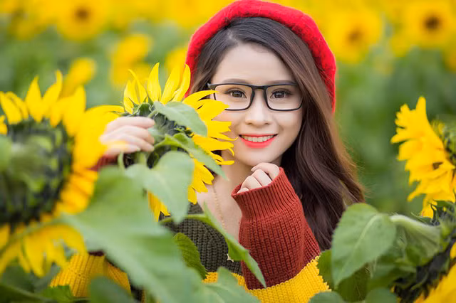 Nữ sinh xứ Nghệ “gây thương nhớ” với bộ ảnh ở cánh đồng hoa hướng dương