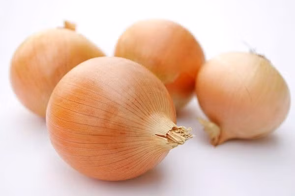 Mẹo đuổi gián ra khỏi nhà chỉ với nguyên liệu có sẵn trong bếp ảnh 3