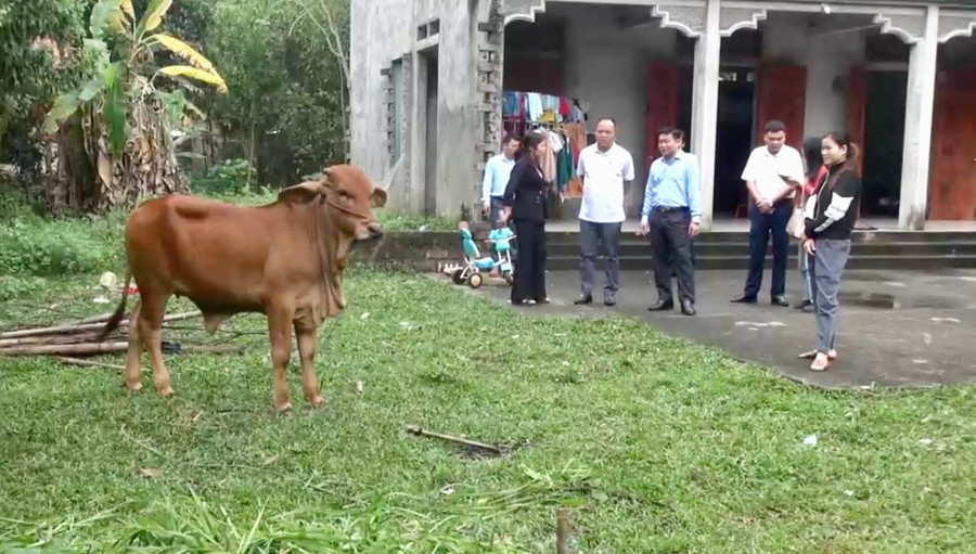 Cán bộ xã Tân Thành, huyện Phú Bình, tỉnh Thái Nguyên hỏi thăm, động viên và hướng dẫn kỹ thuật chăn nuôi cho hộ nghèo trên địa bàn. Cán bộ xã Tân Thành, huyện Phú Bình, tỉnh Thái Nguyên hỏi thăm, động viên và hướng dẫn kỹ thuật chăn nuôi cho hộ nghèo trên địa bàn.