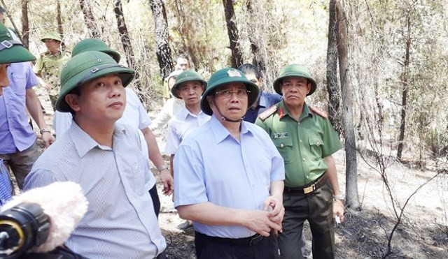 Trưởng ban tổ chức Trung ương và lãnh đạo tỉnh Hà Tĩnh kiểm tra thực tế cháy rừng tại huyện Nghi Xuân.