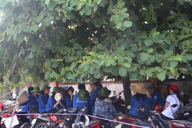 Đội tình nguyện viên