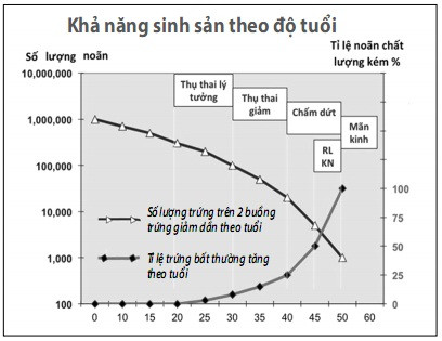 Phụ nữ nên có con ở độ tuổi nào? ảnh 1