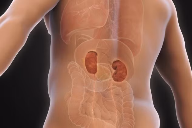 Kỳ II: Buôn bán nội tạng - Những thực tế rùng rợn