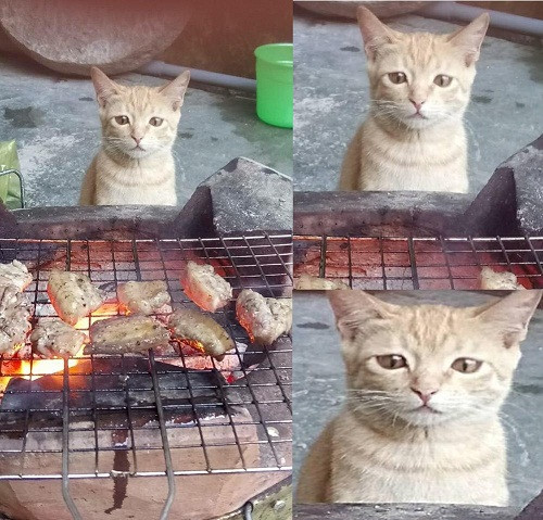 Kể từ đó ánh mắt em hồn nhiên đến lạ. 10-anh-hai-hot-nhat-facebook-trong-ngay-4