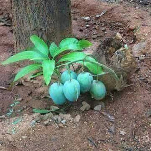 Không từ bỏ. Không từ bỏ.