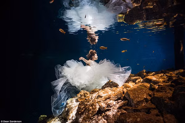 Để ghi lại những khoảnh khắc độc đáo, nhiếp ảnh gia cần sử dụng chân máy và ống kính chống nước đặc biệt. anh-cuoi-dep-ma-mi-trong-ho-than-tien-6