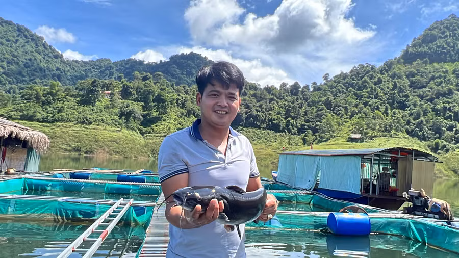 Anh Nguyễn Văn Sinh là một trong những hộ đầu tiên nuôi cá lồng trên hồ Cửa Đạt. (Ảnh: NT)