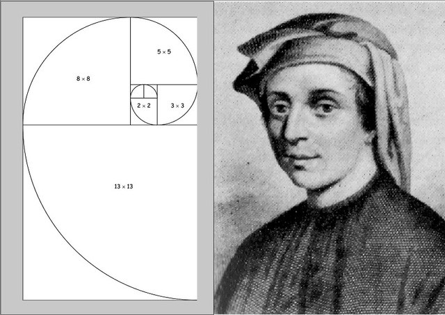 Bí ẩn về dãy Fibonacci và tỉ lệ vàng “thần thánh” trong vạn vật ảnh 1 Fibonacci