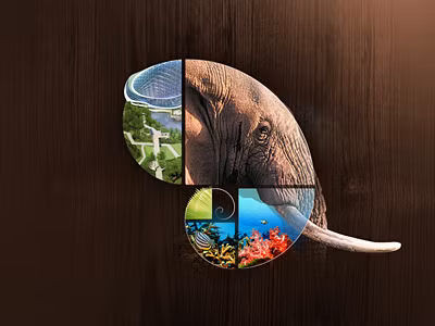  Động vật và con người hay tự nhiên đều không nằm ngoài quy luật này 