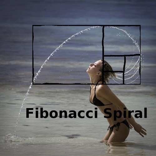 Bí ẩn về dãy Fibonacci và tỉ lệ vàng “thần thánh” trong vạn vật ảnh 16 Tỉ số vàng xuất hiện mọi nơi