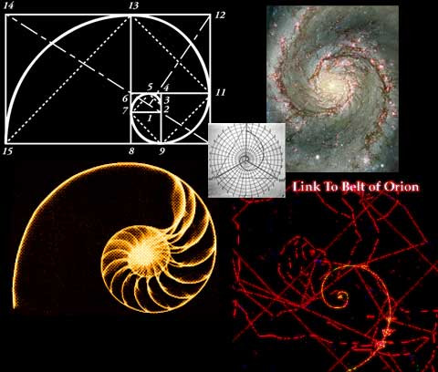 Bí ẩn về dãy Fibonacci và tỉ lệ vàng “thần thánh” trong vạn vật ảnh 4 Vũ trụ với các dãi ngân hà cũng tuân theo tỉ số vàng