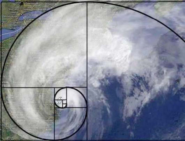 Bí ẩn về dãy Fibonacci và tỉ lệ vàng “thần thánh” trong vạn vật ảnh 19 Cơn bão cũng biết tuân thủ tỉ lệ vàng