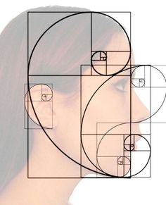 Bí ẩn về dãy Fibonacci và tỉ lệ vàng “thần thánh” trong vạn vật ảnh 9 Khuôn mặt cũng tuân theo tỉ lệ vàng