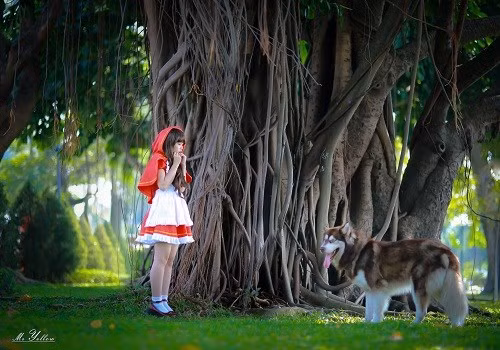 Mặc dù khá bận rộn trong đợt thi giữa kỳ và công việc kinh doanh hàng online qua mạng nhưng Anh Thư vẫn sắp xếp thời gian để thực hiện bộ ảnh “cô bé quàng khăn đỏ”.