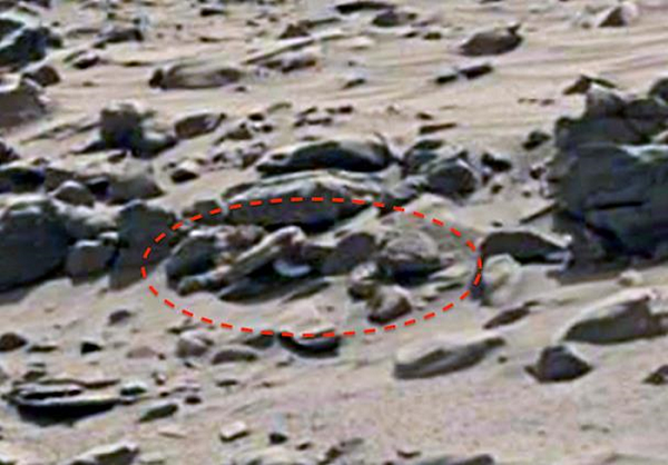 Bí ẩn về bộ xương dài gần 2m nghi của người ngoài hành tinh - ảnh 1 Bí ẩn về bộ xương dài gần 2m nghi của người ngoài hành tinh - ảnh 1