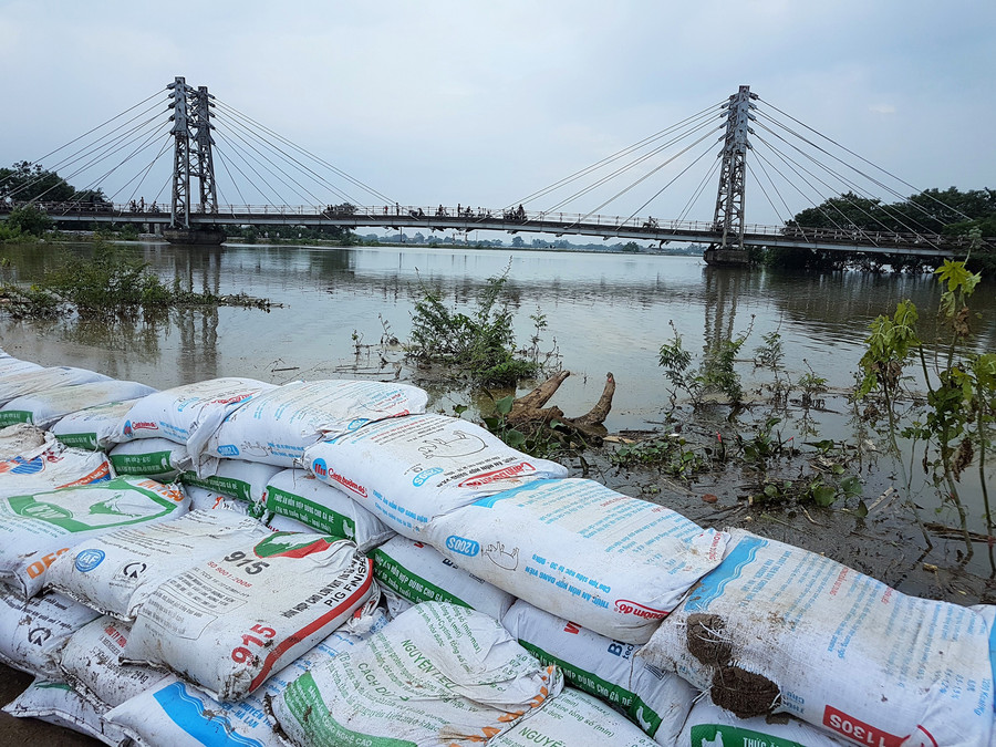 Nhiều đoạn đê xung yếu đã được người dân và các lực lượng chức năng kè chắn