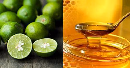 mua chanh ve thai lat, dat len bung, sau 1 tuan ban se phai thang thot ngac nhien - 6