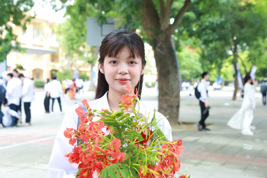 Vẻ đẹp tinh khôi của màu áo trắng hòa cùng sắc thắm của hoa phượng báo hiệu mùa thi đang đến.