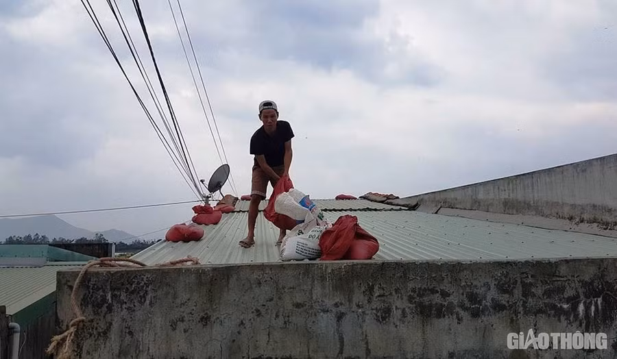 Người dân Bình Định chằng chống nhà cửa trước thông tin bão só 6 đổ bộ vào địa phương này