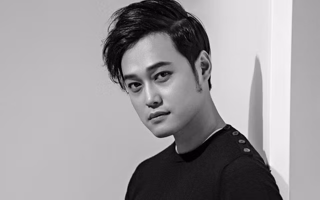 Cát-xê hàng trăm triệu, lý do gì loạt sao nam Việt “mất tích” khi đang ở đỉnh cao? ảnh 11