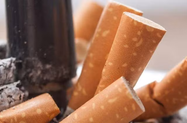 5 thói quen ăn uống càng làm nhiều càng khiến bạn càng kém thông minh, thậm chí teo não - Ảnh 12.