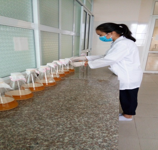 Lấy dịch giống trong phòng sạch Vi sinh – động vật Lấy dịch giống trong phòng sạch Vi sinh – động vật