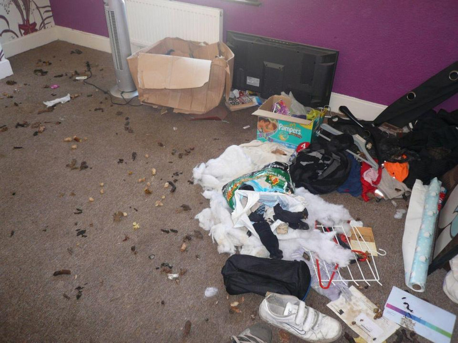 cho thue nha, soc voi canh tuong kinh hoang khi nhan lai hinh anh 8